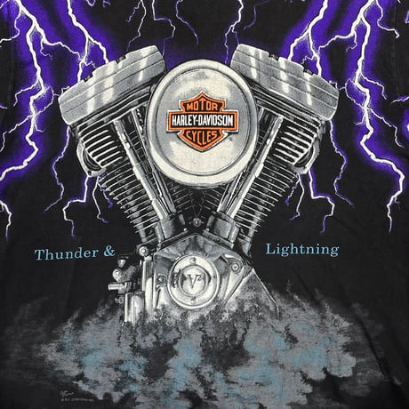 HARLEY DAVIDSON THUNDER & LIGHTNING OVP LARGE 3118