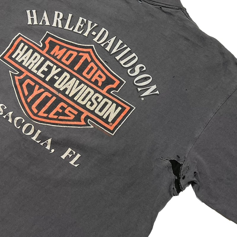 HARLEY DAVIDSON YOTSPONG UNTAMED TIGER FLAME P