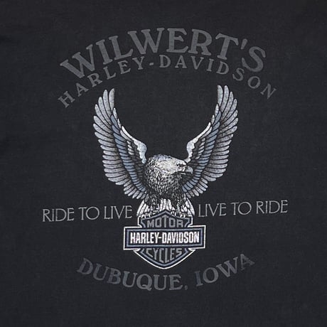 HARLEY DAVIDSON BLUE LIGHTNING THUNDER LS XL 8164
