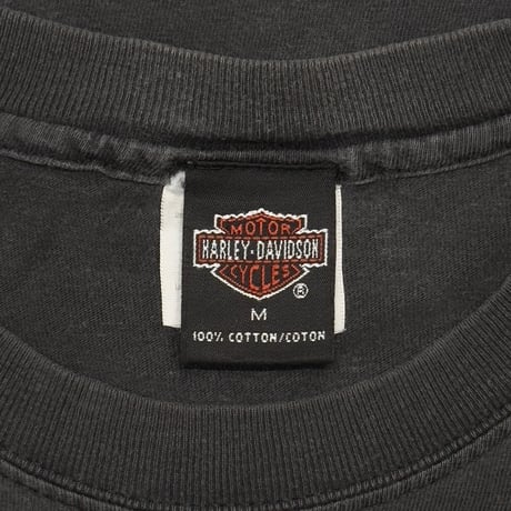HARLEY DAVIDSON FLAME EMBLEM FINAL ASSEMBLY YORK PA LS MEDIUM 6126