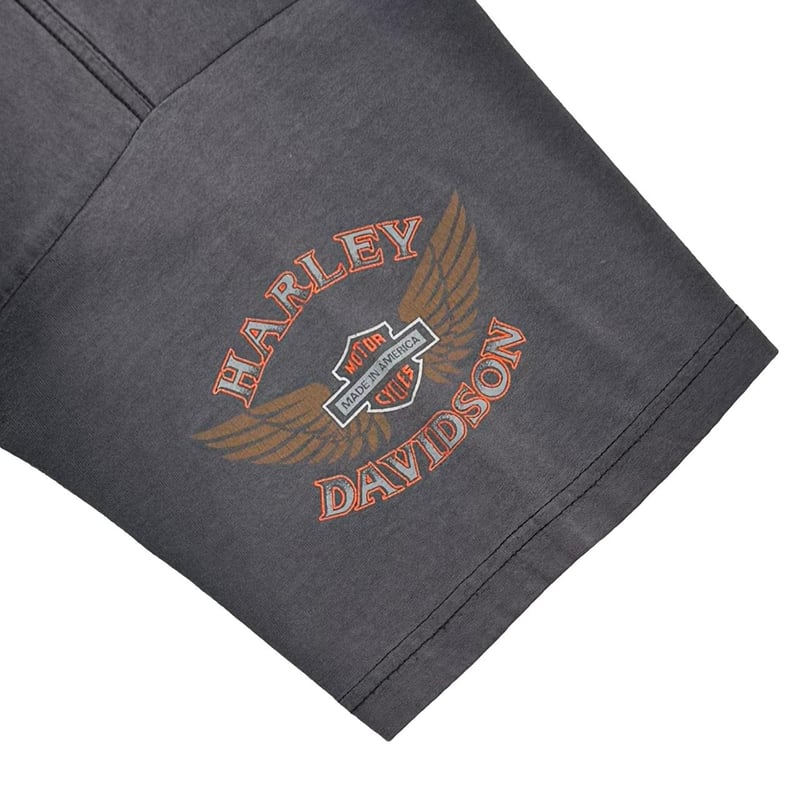 HARLEY DAVIDSON BLUE V FLAME MEXICO BOOTLEG FI