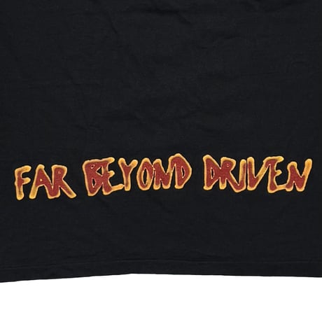 PANTERA FAR BEYOND DRIVEN HANES LARGE 4104