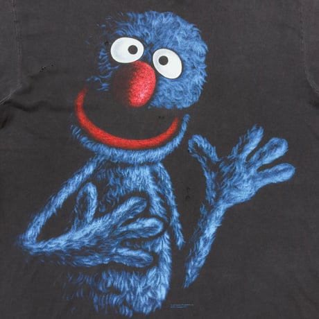 SESAME STREET GROVER CHANGES LARGE 1297