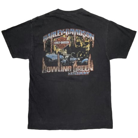 HARLEY DAVIDSON POWER PERFORMANCE BOWLING GREEN KENTUCKY FITS LARGE 8136