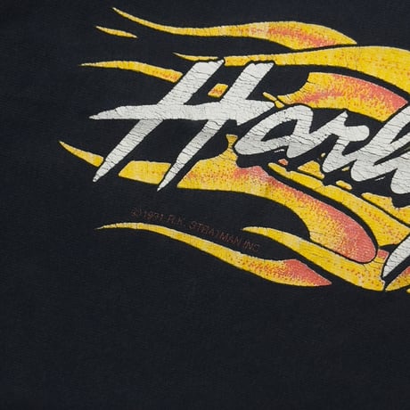 HARLEY DAVIDSON FLAME EAGLE McDERMOTT'S LS XL 7393