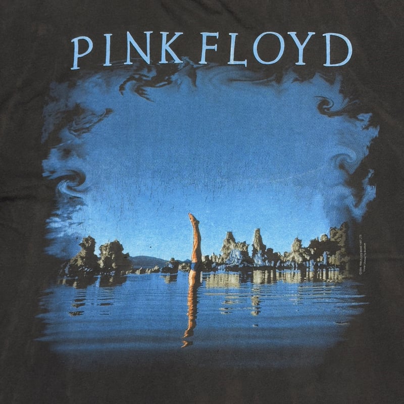 PINK FLOYD WISH YOU WERE HERE EURO FITS XL 9404