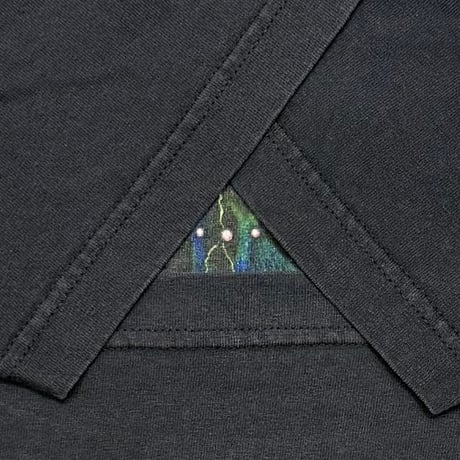 PINK FLOYD 2004 PULSE ALSTYLE LARGE 3825