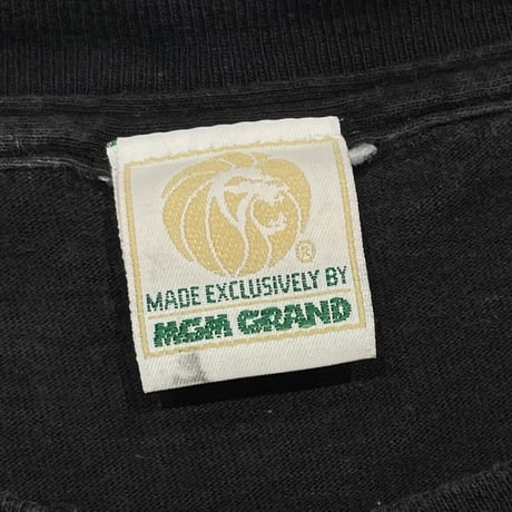 MIKE TYSON vs BOTHA MGM GRAND XXL 1164