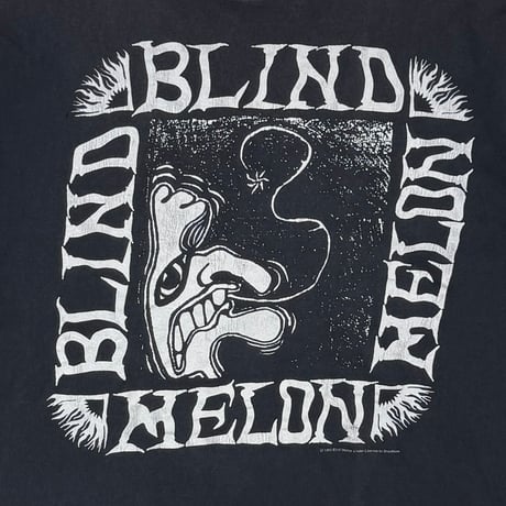 BLIND MELON 1992 CRAMMED IN A VAN BROCKUM XL 7347