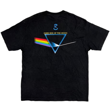 PINK FLOYD DARK SIDE OF THE MOON 2001 ARTIMONDE XL 2307