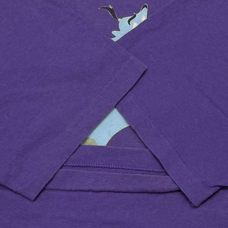 DISNEY VINTAGE ALADDIN PURPLE HANES XL 2677