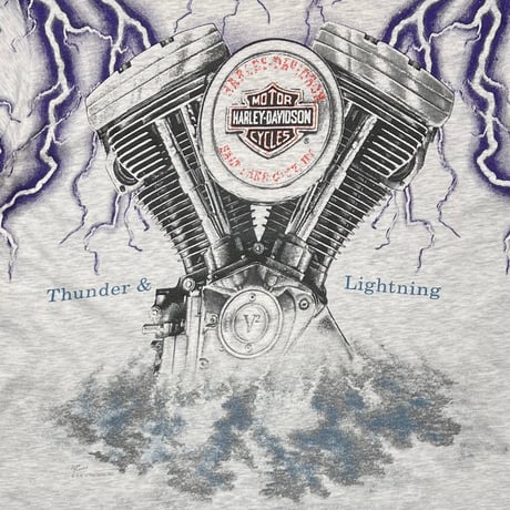 HARLEY DAVIDSON THUNDER & LIGHTNING ENGINE OVP GREY LARGE 3095