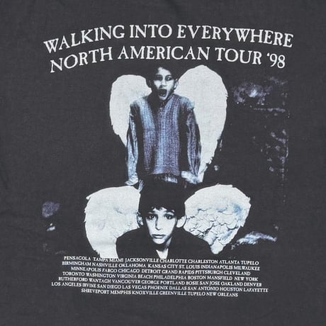 PAGE PLANT WALKING IN TO EVERYWHERE XL 4825