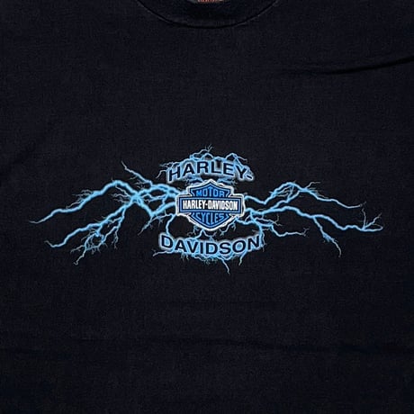 HARLEY DAVIDSON 2004 BLUE LIGHTNING THUNDER LS TENNESSEE XXL 8727