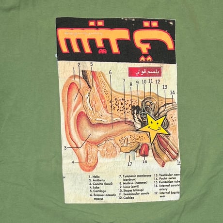 FLAMING LIPS UFOs in China 1987 SAGE GREEN GIANT BY TEE JAYS XL 6498