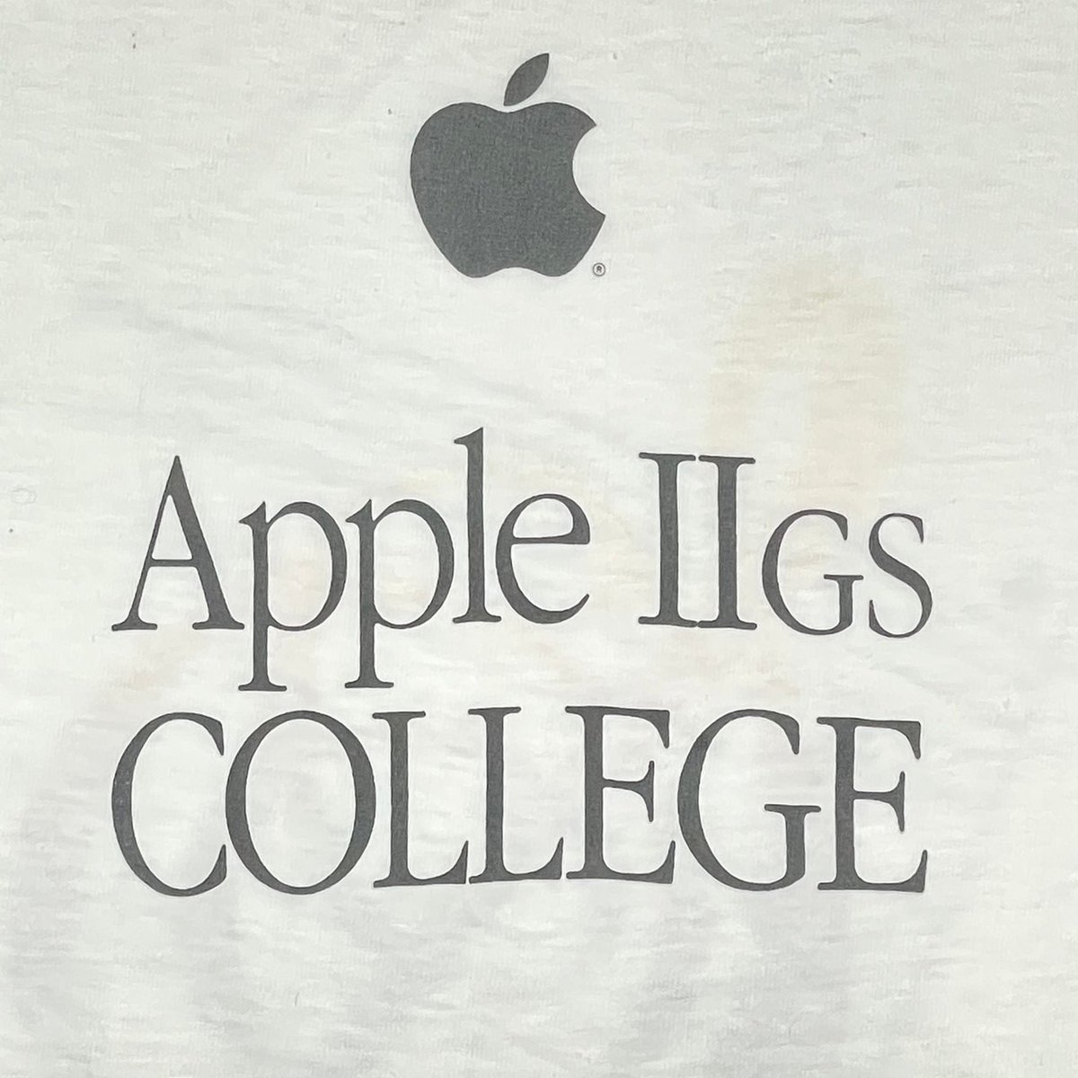 Apple Ⅱ GS COLLEGE NOTE LS WHITE ANVIL LARGE 12