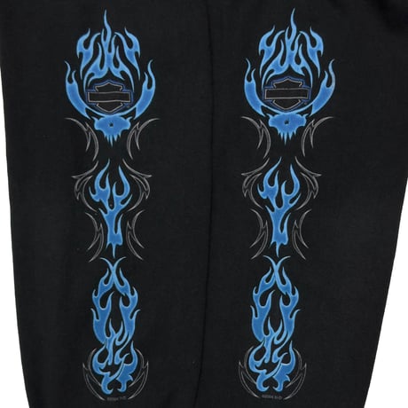 HARLEY DAVIDSON 2004 BLUE FLAME SKULL LS LARGE 8722