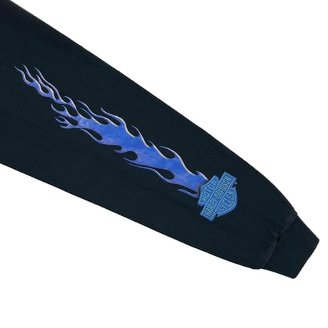 HARLEY DAVIDSON	2001 ARM BLUE FLAMING REGENCY JACKSONVILLE LS XXL 8728