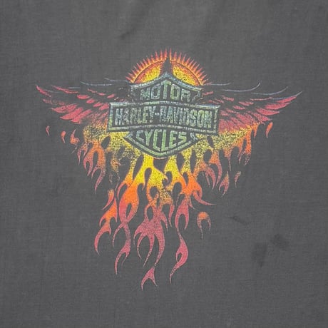 HARLEY DAVIDSON FLAME TAKE A RIDE IN THE COUNTRY ORWIGSBURG LS FADE XL 4282