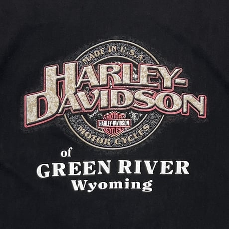 HARLEY DAVIDSON RED FLAME OF GREEN RIVER WYOMING XL 5756