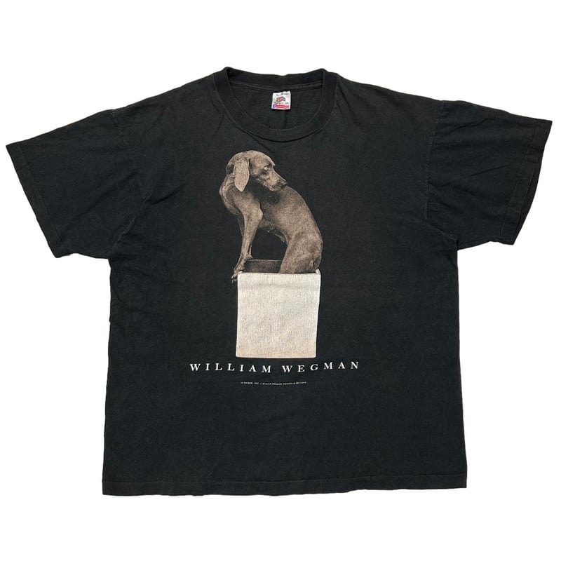 WILLIAM WEGMAN ART DOG IN THE BOX FRUIT OF THE