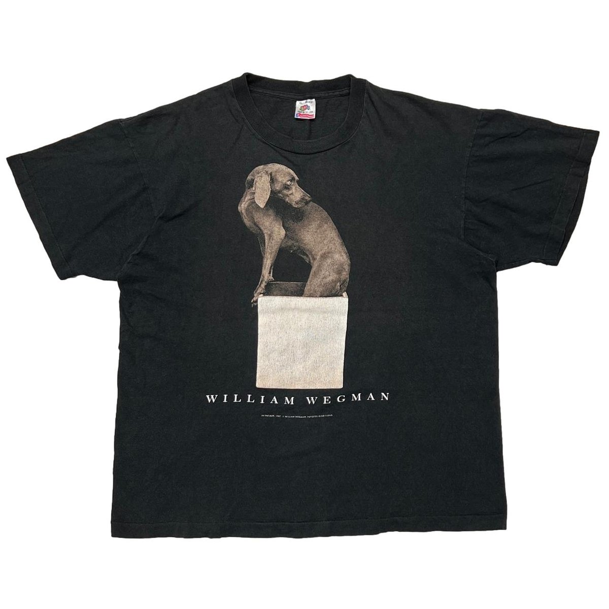WILLIAM WEGMAN ART DOG IN THE BOX FRUIT OF THE