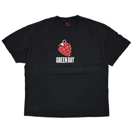 GREEN DAY AMERICAN IDIOT 2004 CINDER BLOCK FITS LARGE 5560