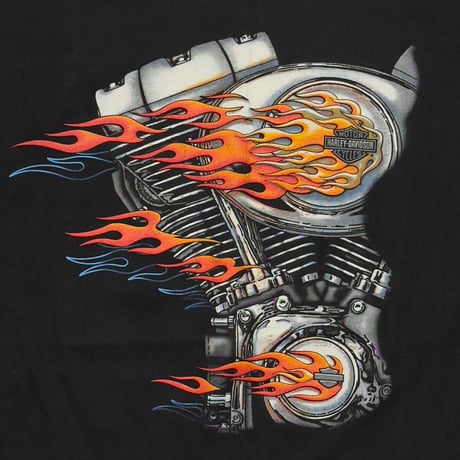 HARLEY DAVIDSON 2001 ENGINE FLAME LS ELECTRIC CITY SCRANTON XXL 5369