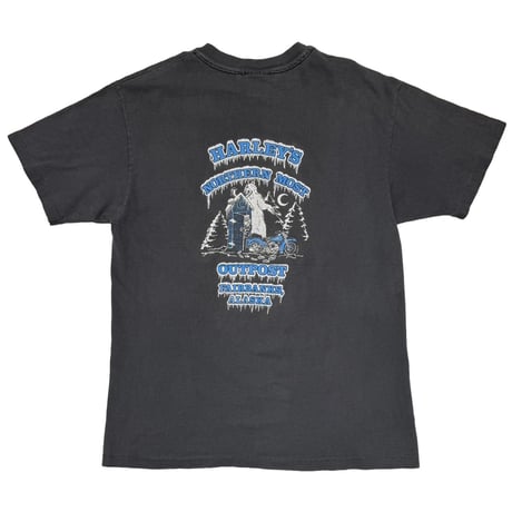 HARLEY DAVIDSON 1993 BLUE FLAME ALASKA LARGE 3676