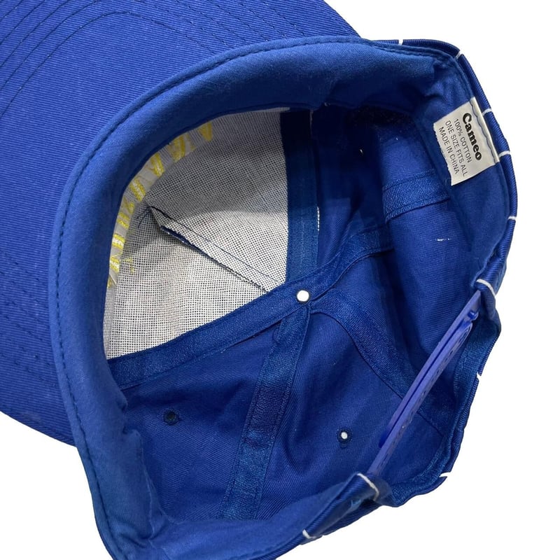 NIRVANA STRIPED NEVERMIND LOGO CAP BLUE SNAPBAC