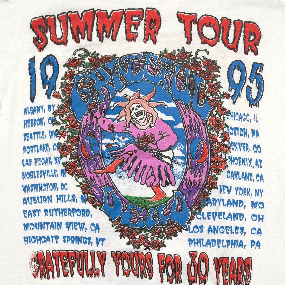 グレイトフルデッド　1995 限定SummerTourポスター grateful dead summer and fall 1995 tour posters Framed