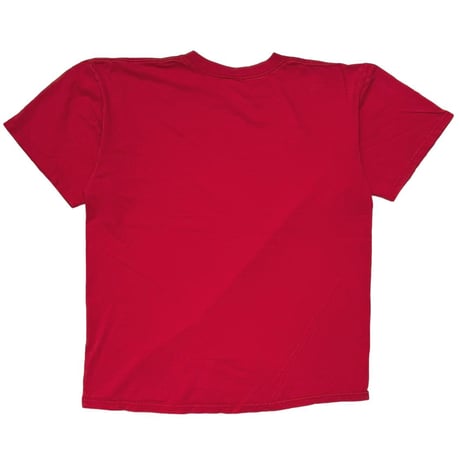 FOO FIGHTERS IN YOUR HONOR RED ANVIL LARGE 4137