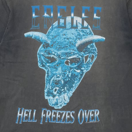 EAGLES HELL FREEZES OVER LARGE 8963