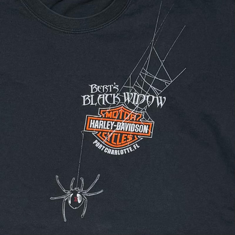 HARLEY DAVIDSON SPIDER GET BIT BY THE WIDOW FLO