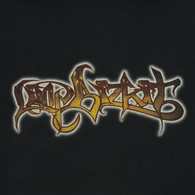 LIMP BIZKIT 1999 SIGNIFICANT OTHER HOODIE XL 80