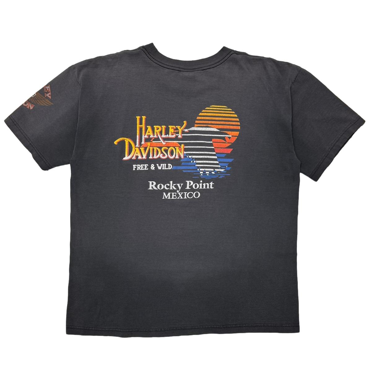 HARLEY DAVIDSON BLUE V FLAME MEXICO BOOTLEG FI