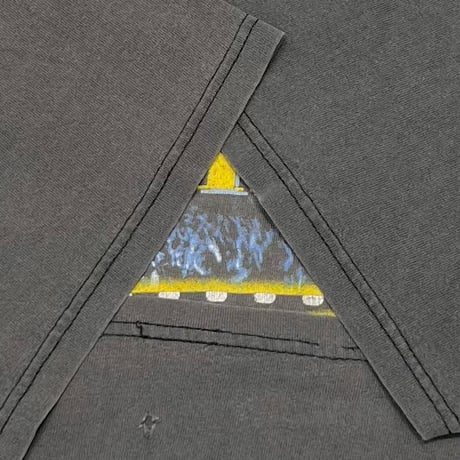 NIRVANA FROM THE MUDDY BANKS OF THE WISHKAH STEDMAN BY HANES XL 5061