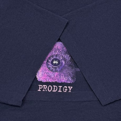 PRODIGY COMMUNICATIONS NAVY WILD OATS XL 4107