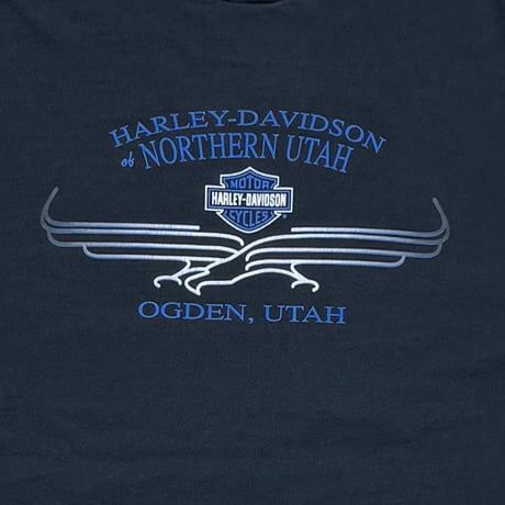 HARLEY DAVIDSON	BLUE FLAME LOGO OGDEN UTAH LS LARGE 5370