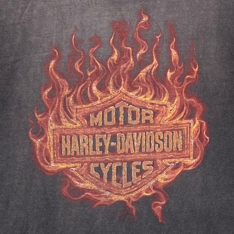 HARLEY DAVIDSON FADED OGEAN STATE RHODE ISLAND FITS XL-XXL 4197