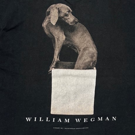 WILLIAM WEGMAN ART DOG IN THE BOX FRUIT OF THE LOOM XL 3748