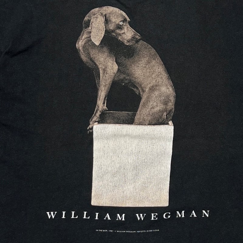 WILLIAM WEGMAN ART DOG IN THE BOX FRUIT OF THE
