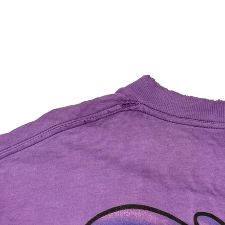 LOONEY TUNES ROAD RUNNER DOUBLE SIDE PURPLE DELTA XL 4423