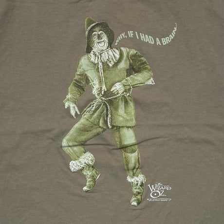 The WIZARD of OZ 	1997 STANLEY DESANTIS WHY, IF I HAD A BRAIN... SAGE GREEN STANLEY DESANTIS XL 5558