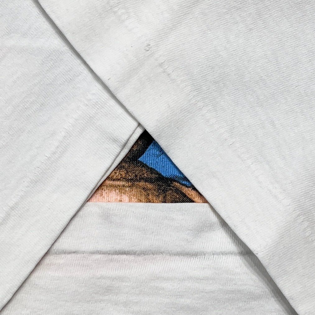 RED HOT CHILI PEPPERS 1992 BIKINI WALL WHITE gi