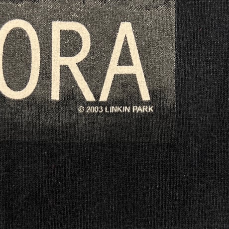 LINKIN PARK 2003 METEORA ALSTYLE LARGE 2304