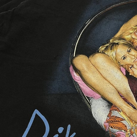 DIXIE CHICKS FLY TOUR 2000 HANES 2XL 3792