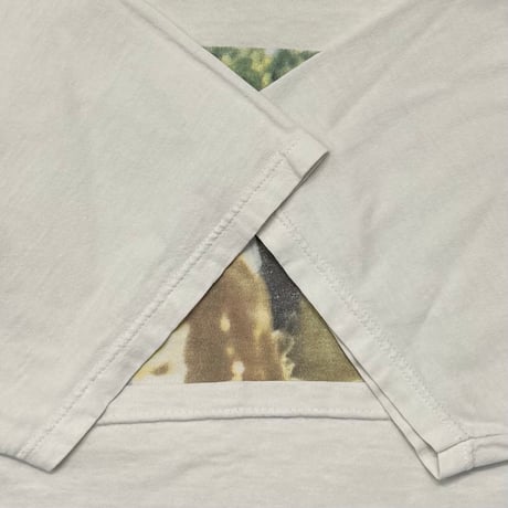 THE SMASHING PUMPKINS SIAMESE DREAM GIANT BY TULTEX LARGE NO BACK 1053