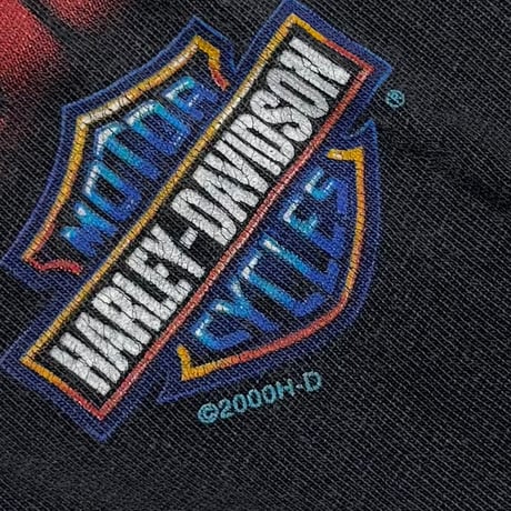 HARLEY DAVIDSON EAGLE FLAMING LS BENSON MOTOR CYCLE 2000 XL 1002