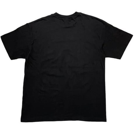 NIRVANA SLIVER ACME LARGE 4560